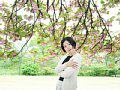 html/7C205504-s.html