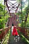 html/K7405598-s.html