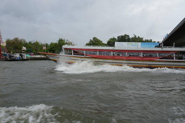 DSC_0493-s