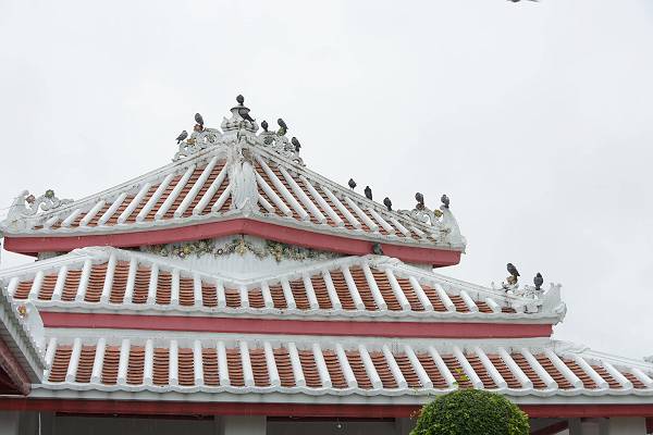DSC_1008-s