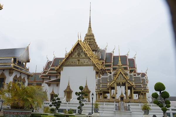 DSC_1602-s