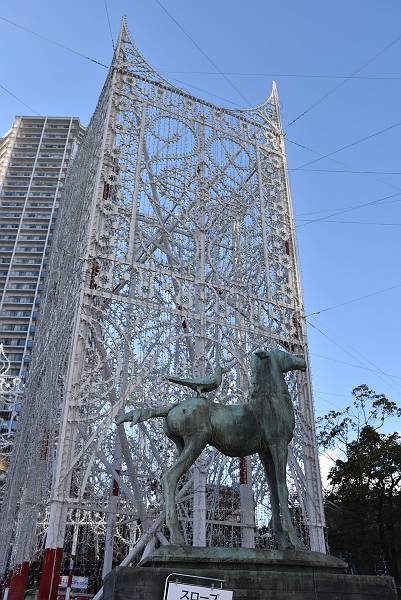 DSC_4246