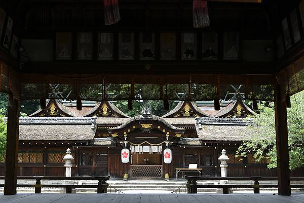 DSD_3902