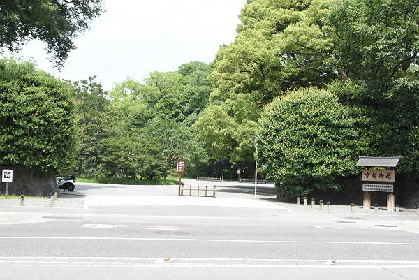 DSD_3919