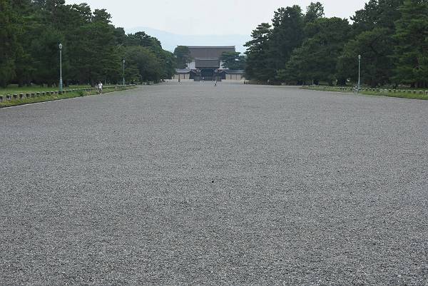 DSD_3933