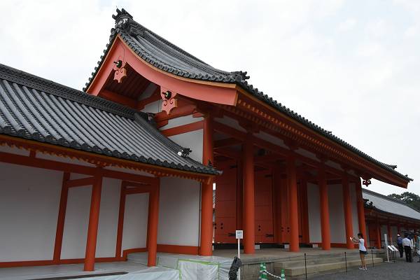 DSD_3967