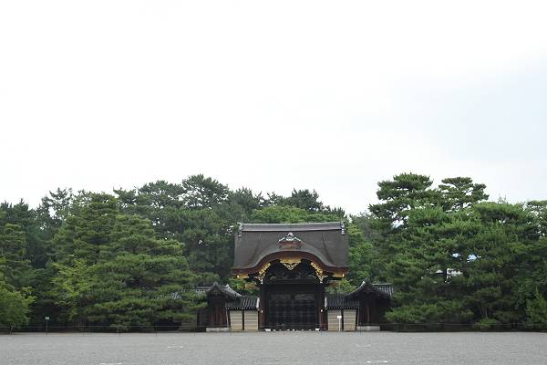 DSD_3997