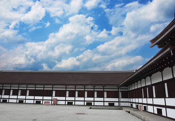 DSD_4005
