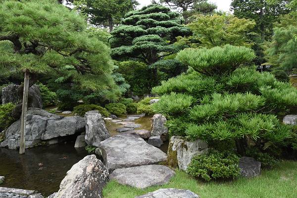 DSD_4053