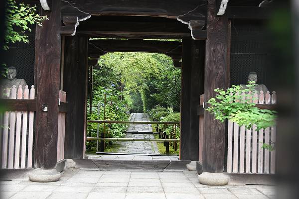 DSD_4129