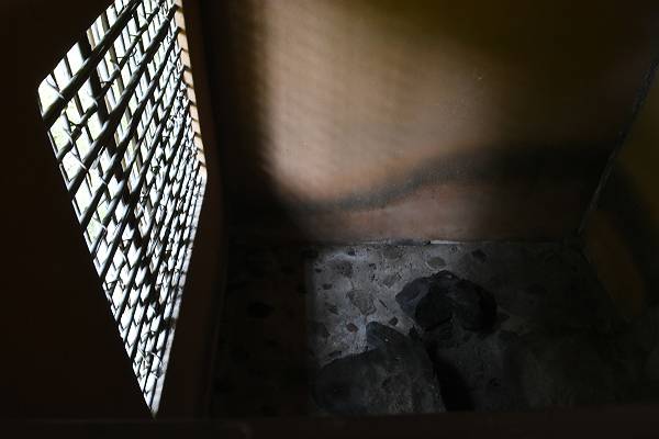 DSD_4174