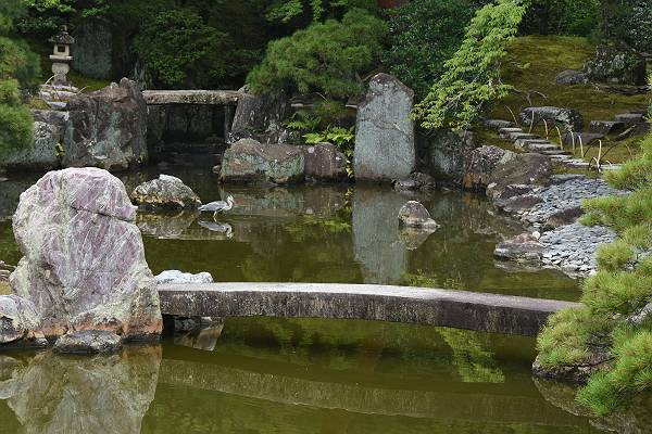DSD_4205
