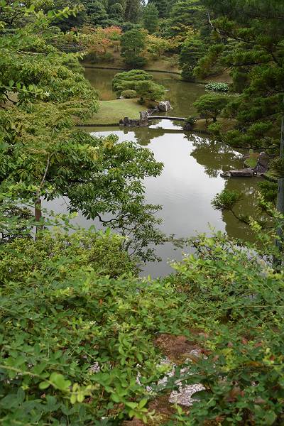 DSD_4232