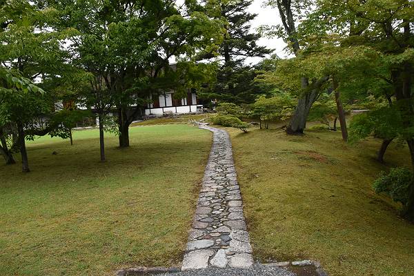 DSD_4251