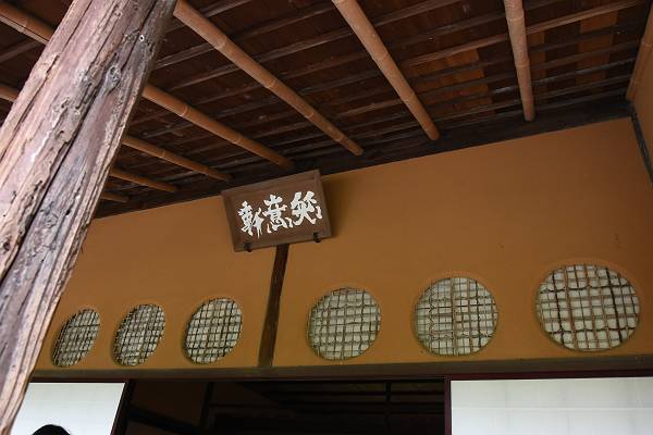 DSD_4259