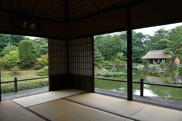 DSD_4317