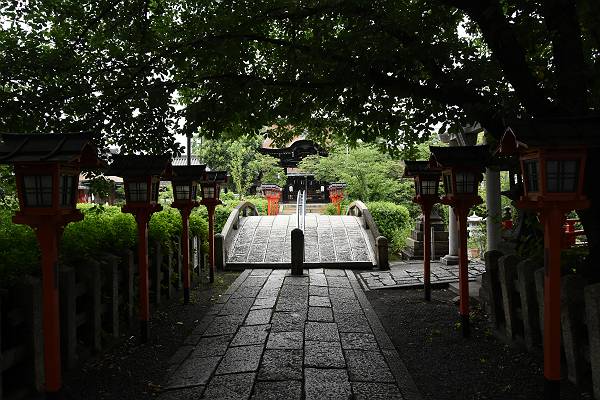 DSD_4352