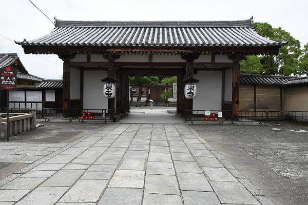 DSD_4386