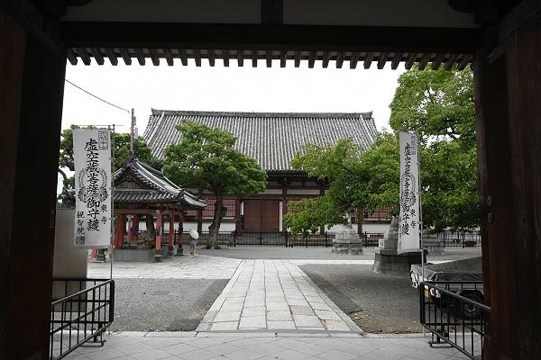 DSD_4387