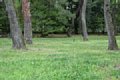html/DSD_3952.html