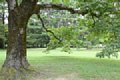 html/DSD_3954.html