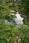 html/DSD_4232.html