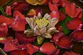 html/DSC_6138.html