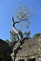 html/DSC_6173.html