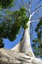 html/DSC_6205.html