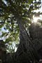 html/DSC_6240.html