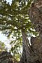 html/DSC_6269.html