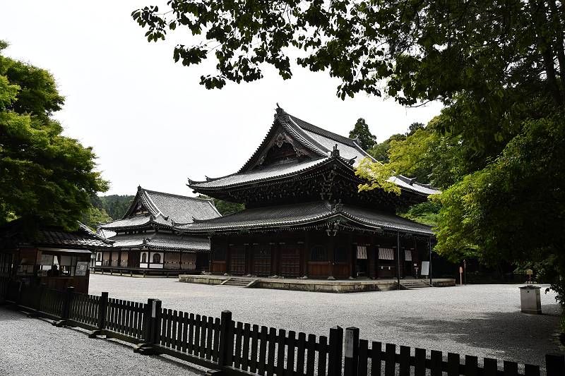 DSD_3659