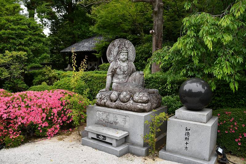 DSD_3715