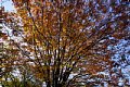 html/DSC04100-s.html