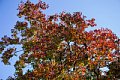 html/DSC04108-s.html