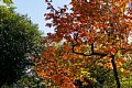 html/DSC04123-s.html