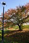 html/DSC04125-s.html