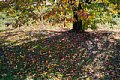 html/DSC04128-s.html