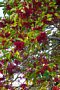 html/DSC04131-s.html