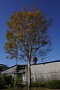 html/DSC04134-s.html