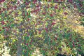 html/DSC04147-s.html