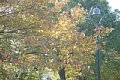 html/DSC04157-s.html