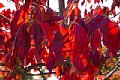 html/DSC04175-s.html
