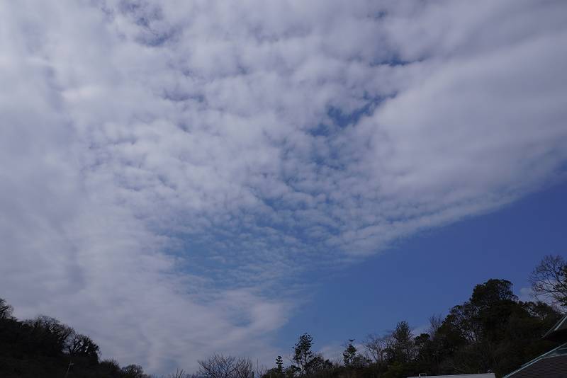DSC04563-s