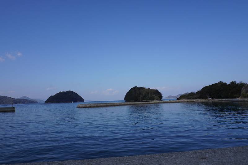 DSC04590-s