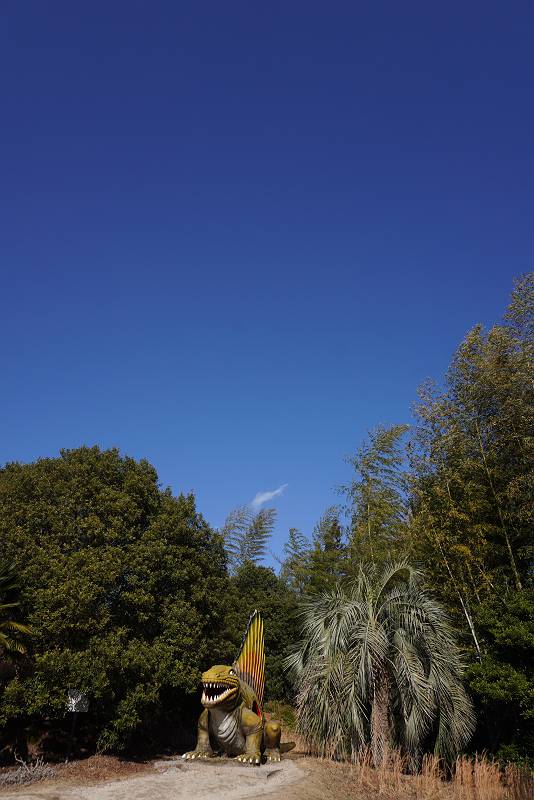 DSC04636-s