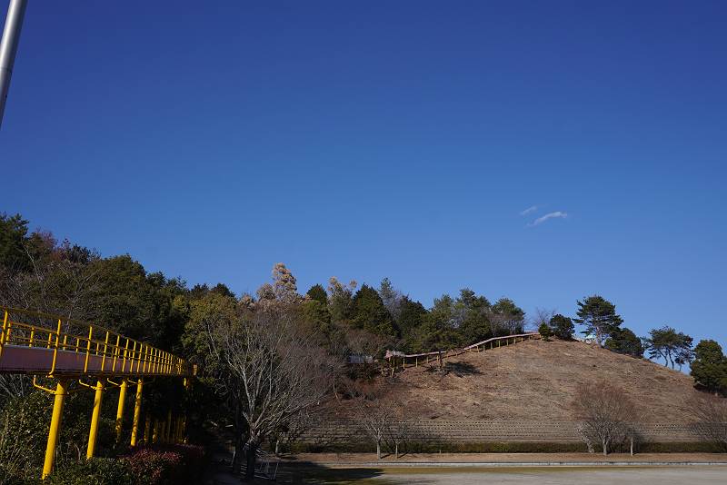 DSC04644-s