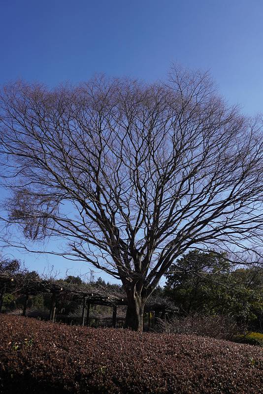 DSC04645-s