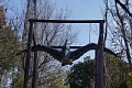 html/DSC04623-s.html