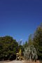 html/DSC04636-s.html